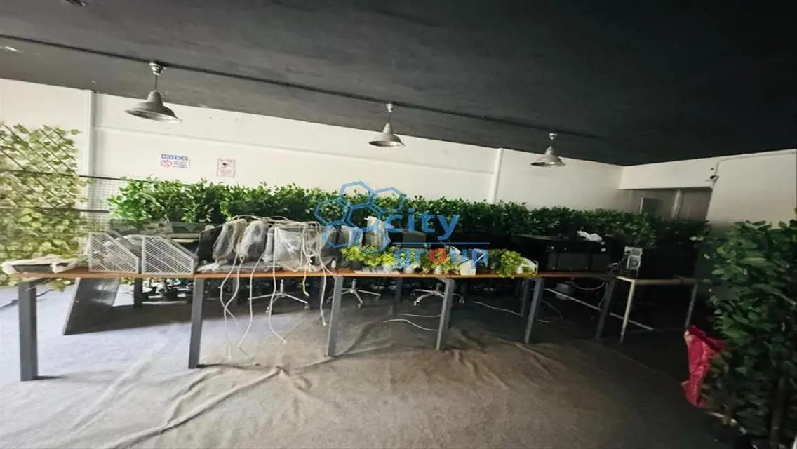 Fantastic Investment Opportunity with 350 Square Meters