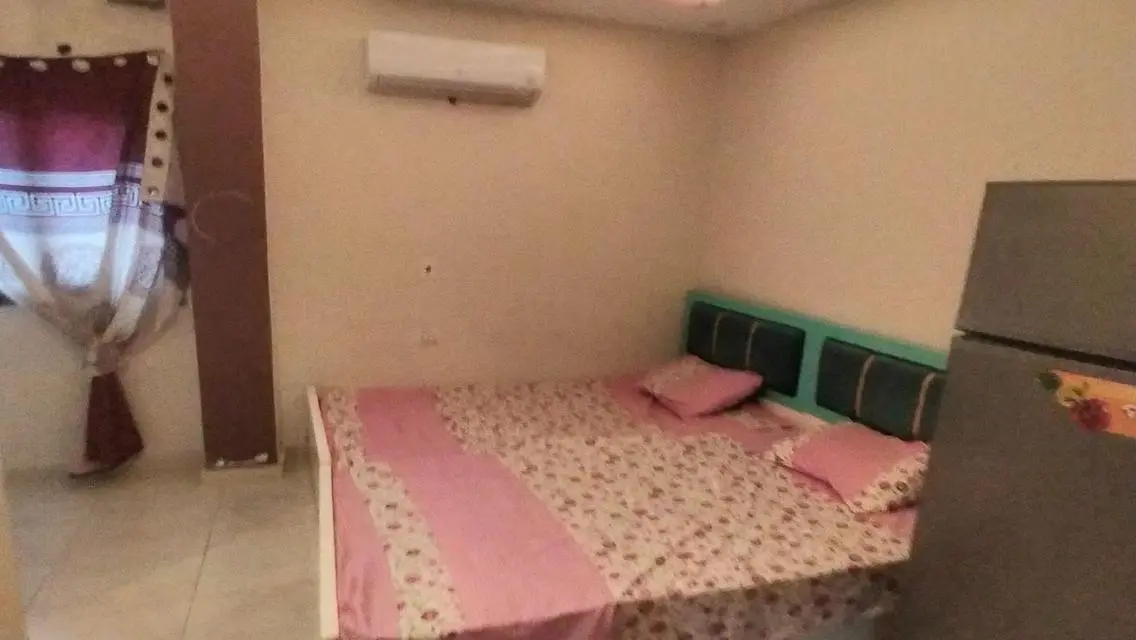Luxury Apartment with Central Air Conditioning and Security Guard