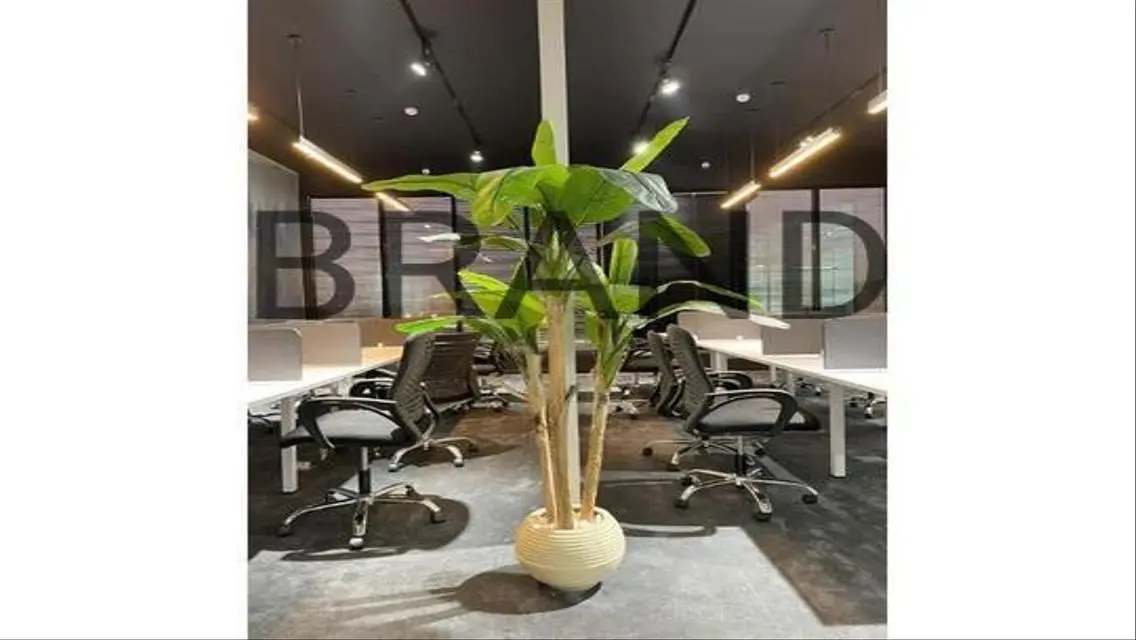 Apartment for Sale - 250 sqm for 250,000 EGP