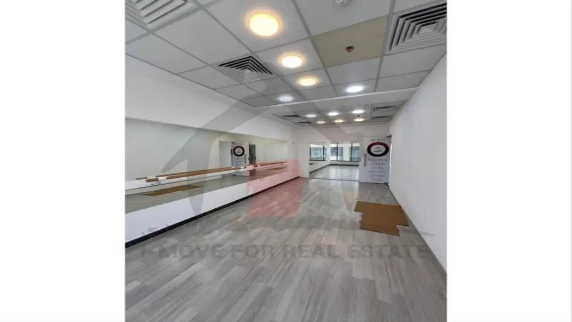 Luxury Apartment in a Modern Building