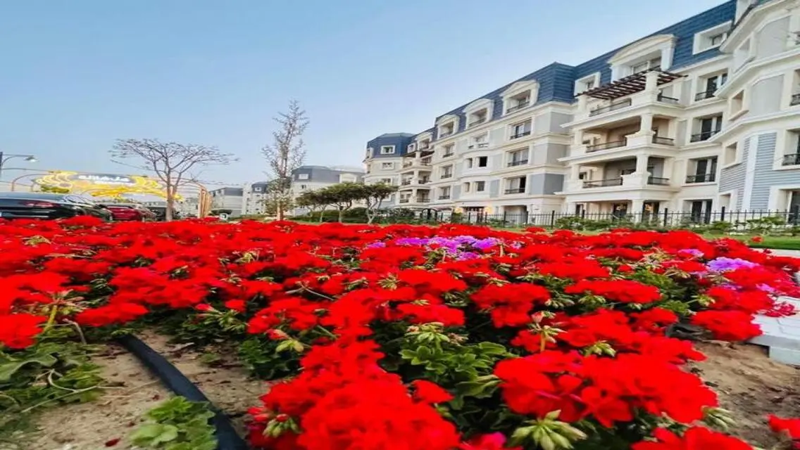 Luxury Three-Bedroom Apartment with All Facilities