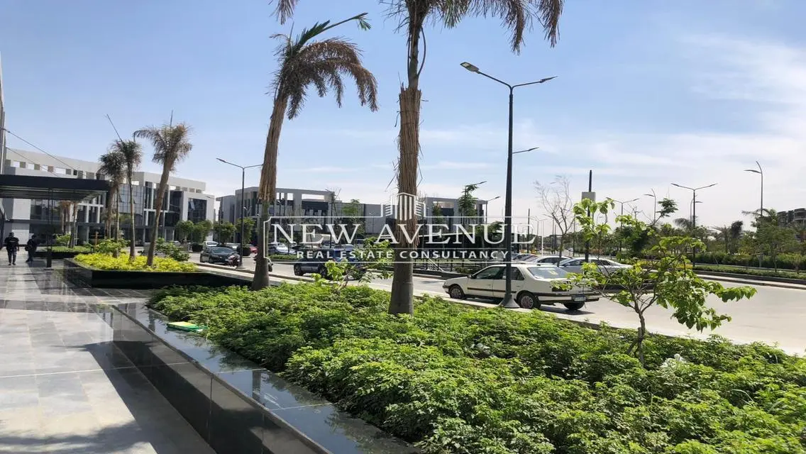 Luxury Apartment for Sale in 2029