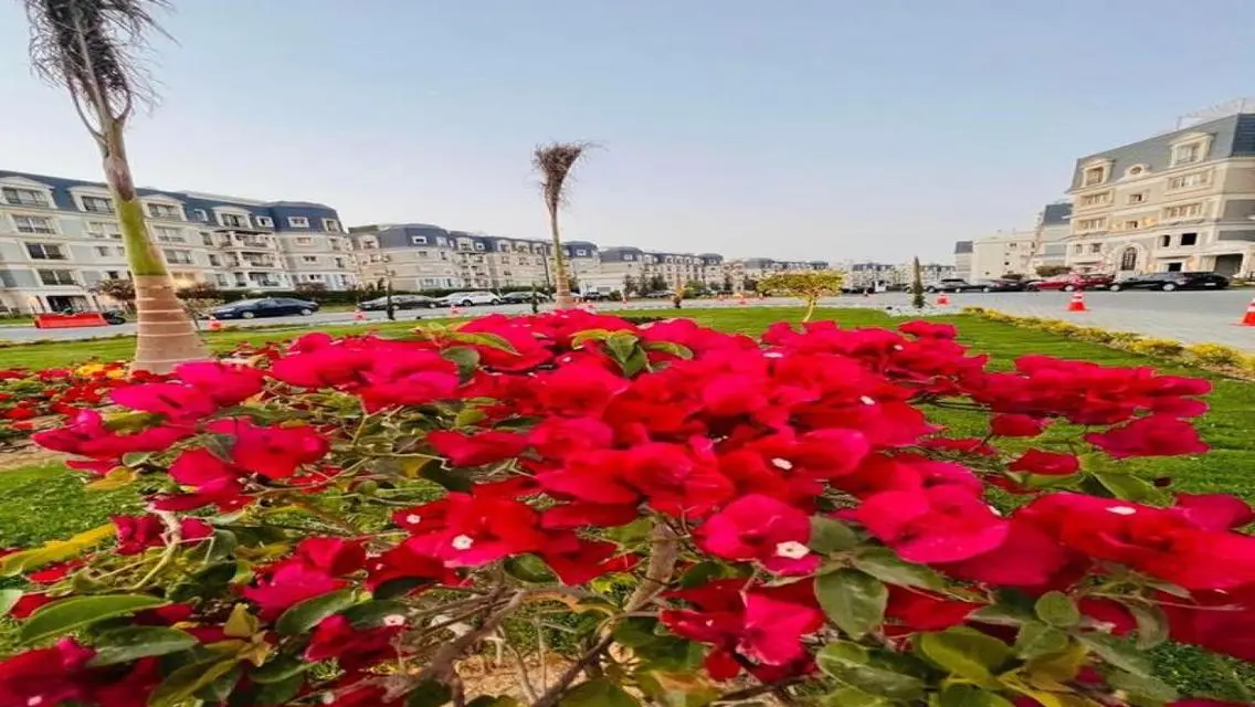 شقة فاخرة بمساحة مذهلة في قلب المدينة