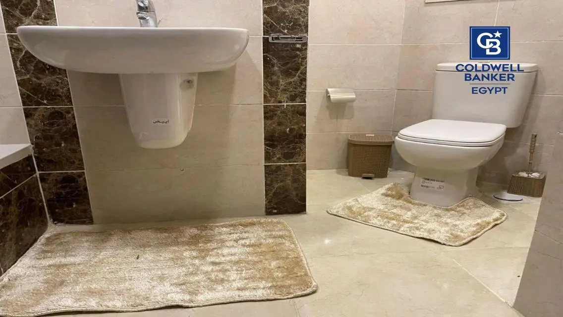 Luxury Apartment in the Heart of Cairo