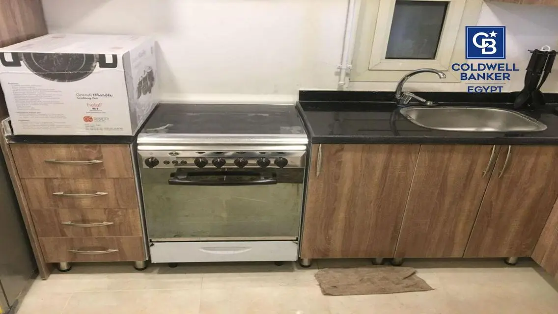 Luxury Apartment in the Heart of Cairo