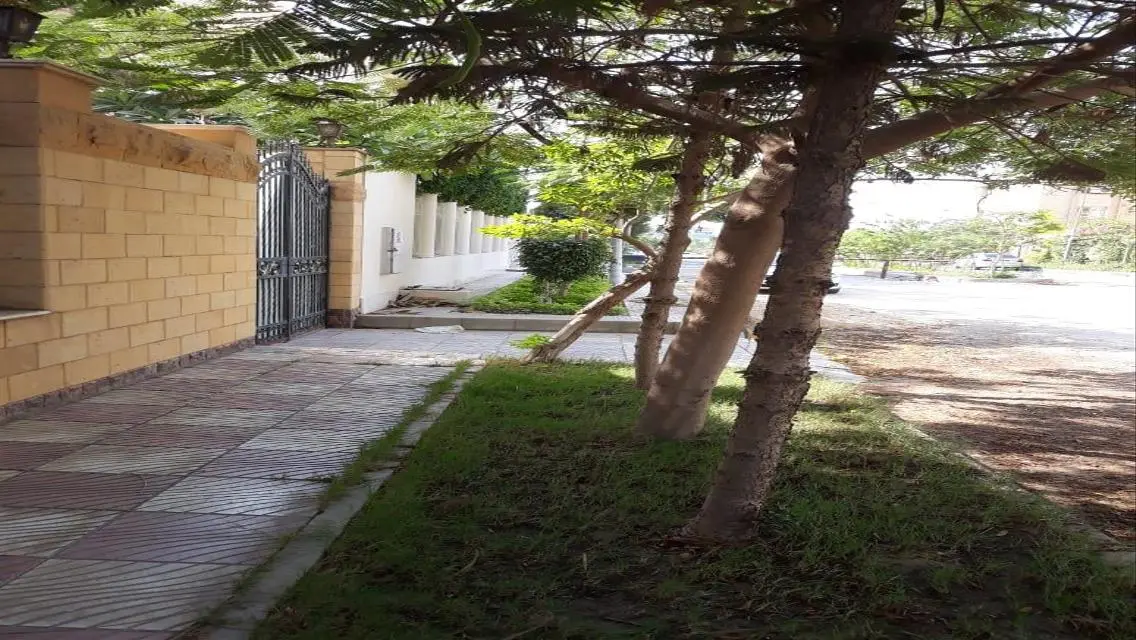 شقة مميزة للبيع بمساحة 200 متر