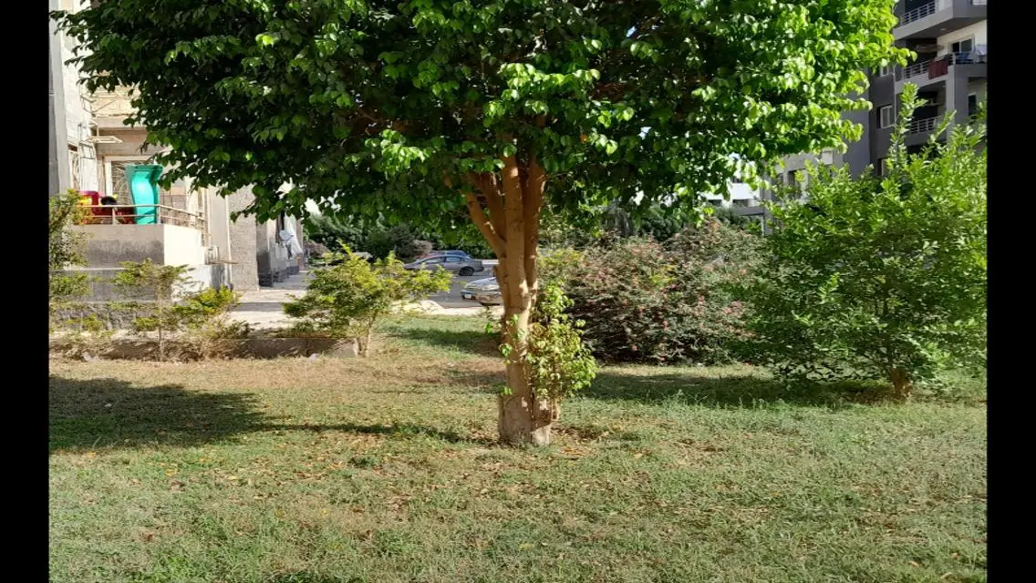 Apartment for Sale in Dar Misr - Entertainment District