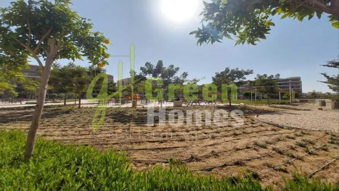 Exceptional Apartment with Luxurious Amenities