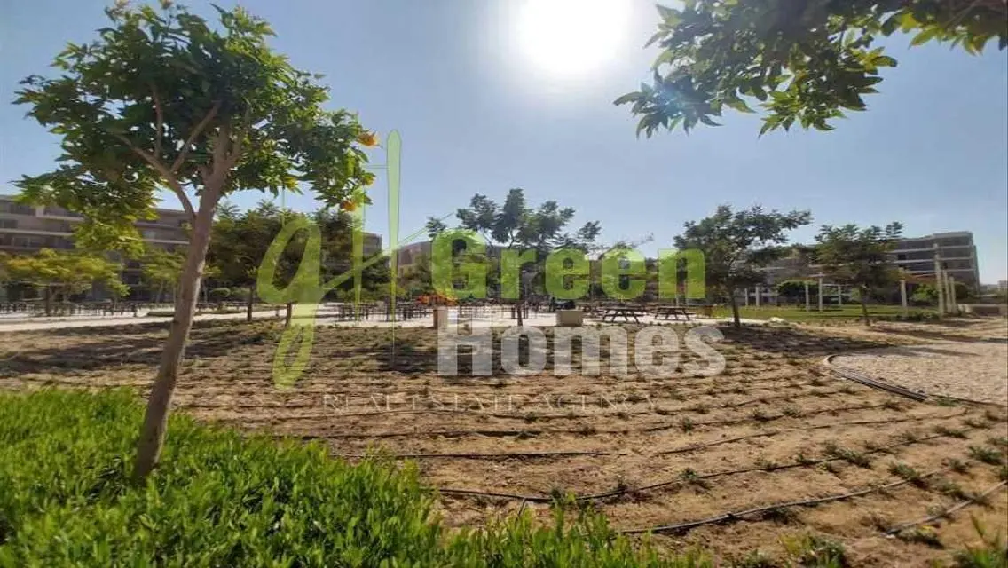 Exceptional Apartment with Luxurious Amenities