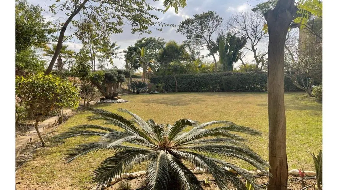 Luxurious Property with Private Pool and Garden