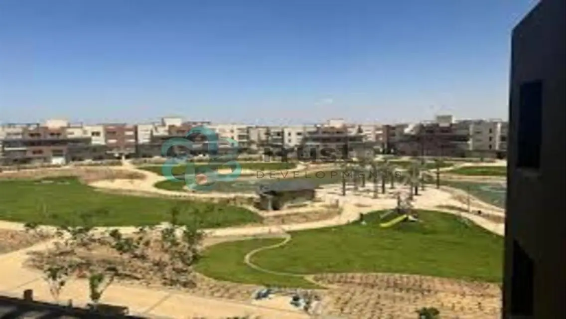 جاسبر وودز - نيو جيزة