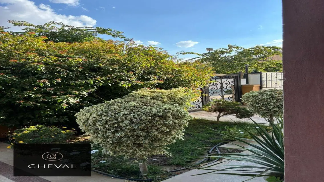 Luxury Apartment in Mivida - AUC