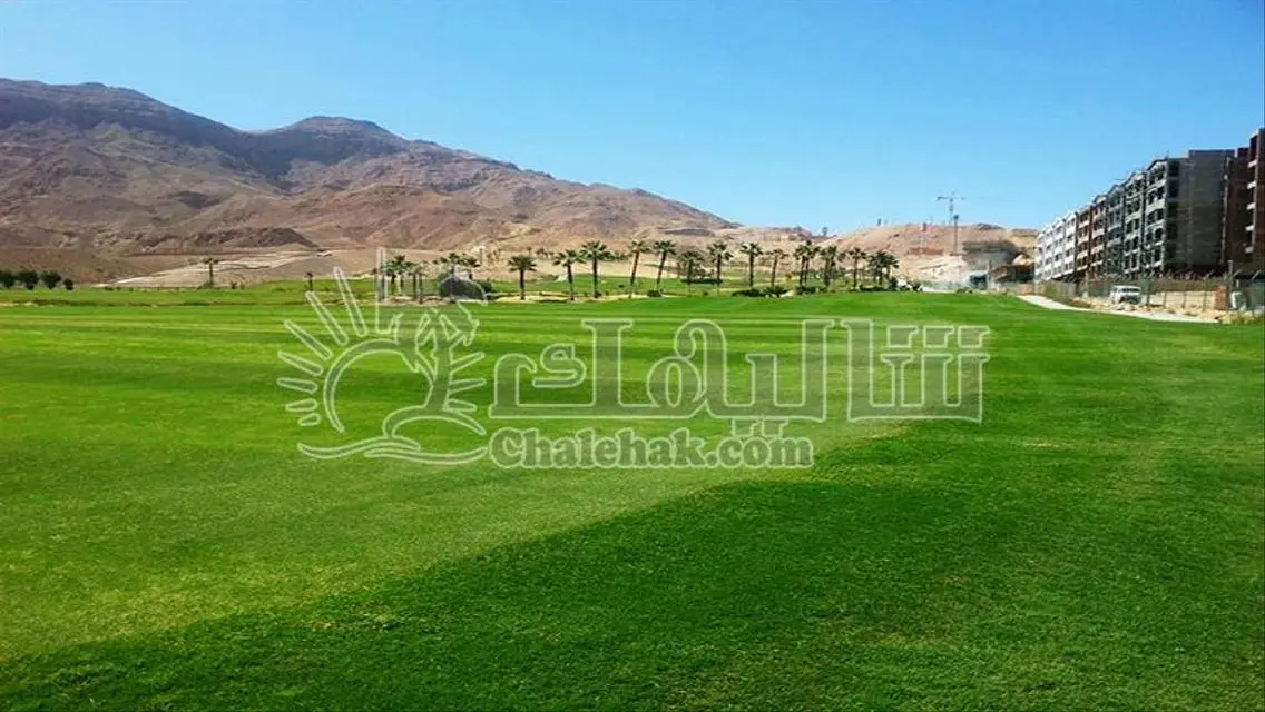 شقة فاخرة بأجمل الإطلالات