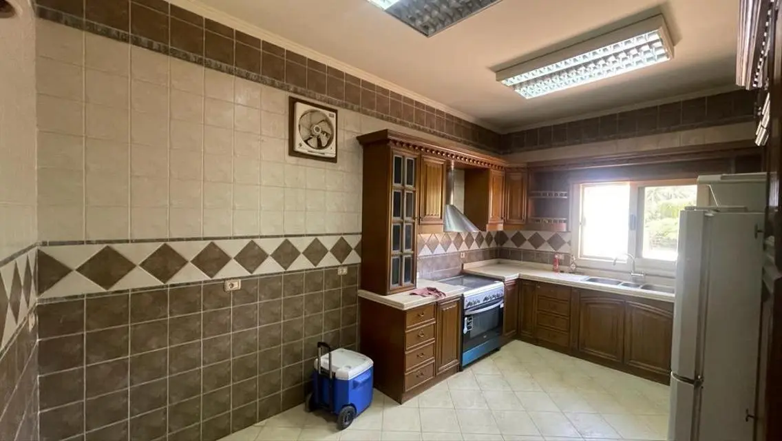 Premium Real Estate Services in Cairo