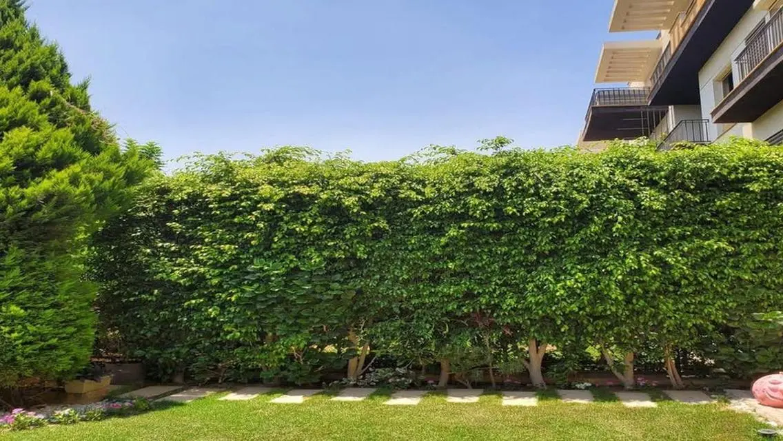 Your Dream Home in the Heart of the City at a Great Price