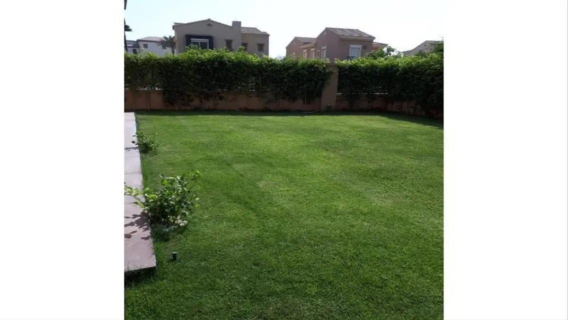 Luxury Apartment for Sale -453-