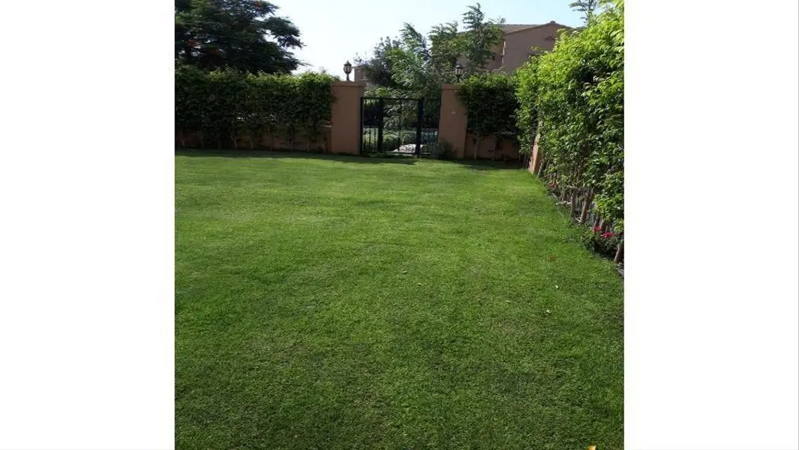 Luxury Apartment for Sale -453-