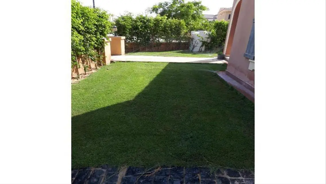 Luxury Apartment for Sale -453-