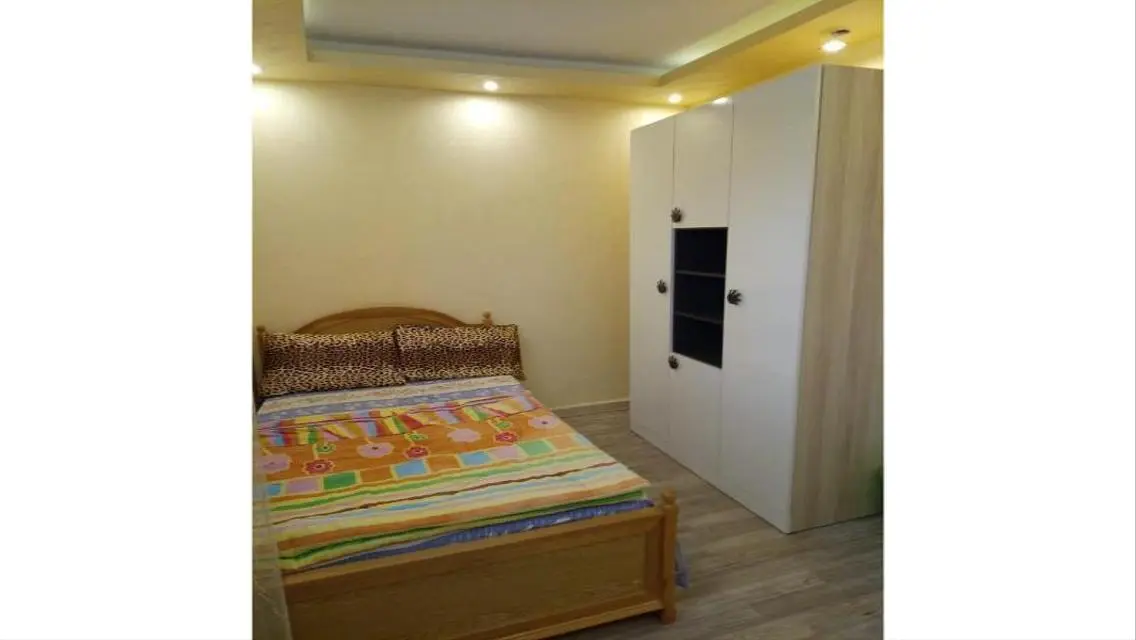 Fantastic Apartment for Sale in Ahmed Elnagar