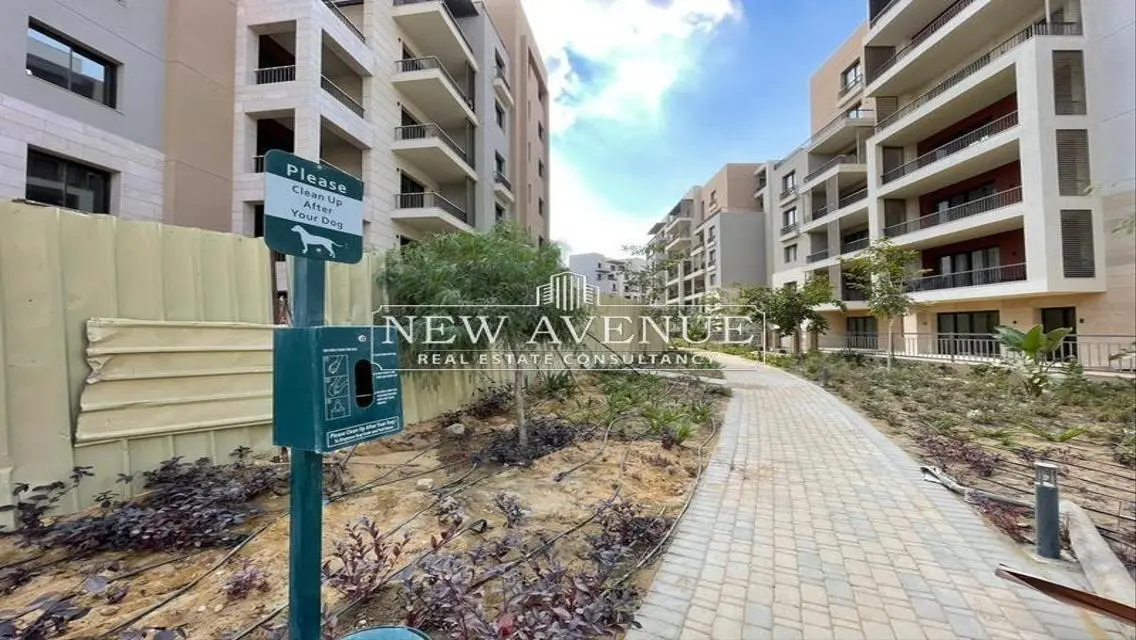 Luxury Apartment for Rent Near Landmark
