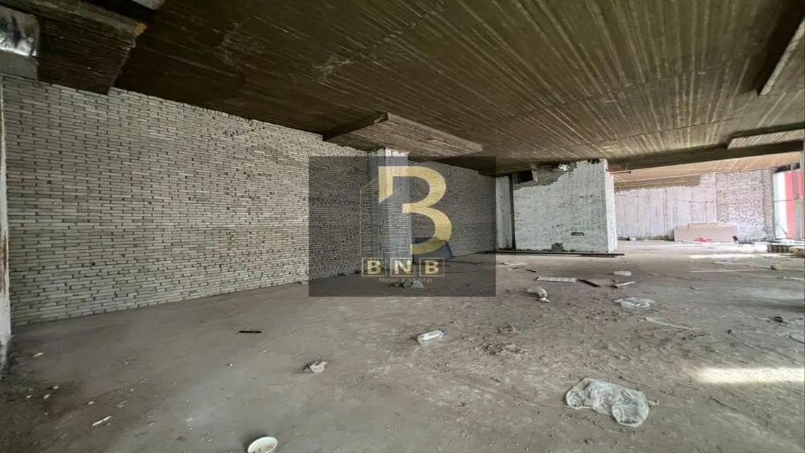 Luxury Apartment for Rent in Nasser City