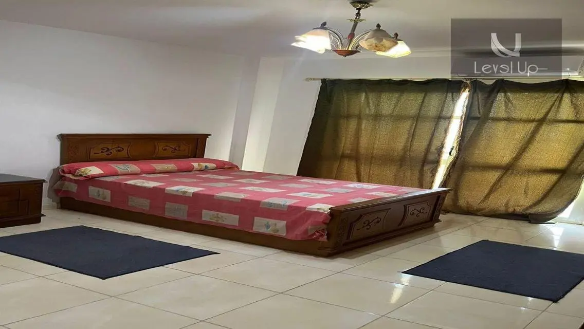 Stunning Apartment to Meet All Your Needs