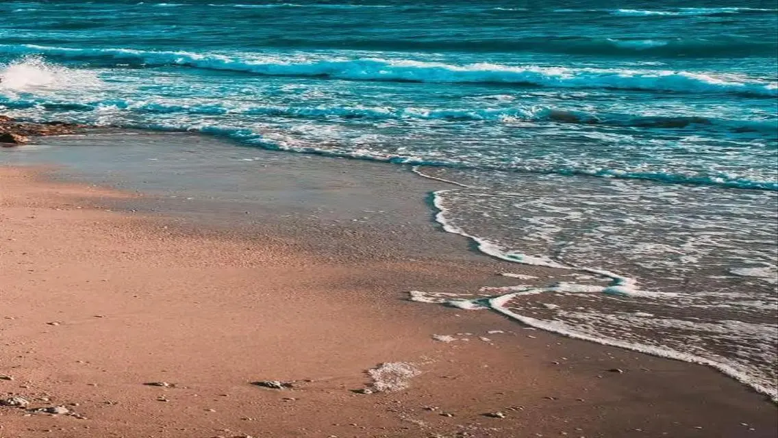 فيلا فاخرة بمسبح خاص وحديقة في منطقتك
