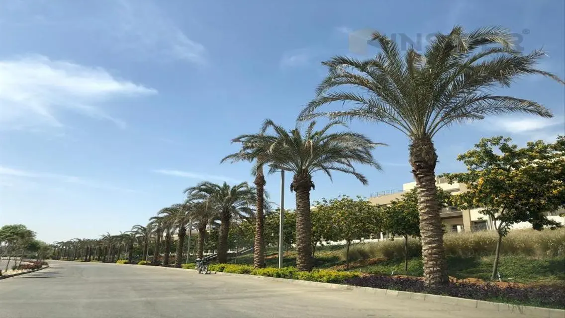Luxury Apartment for Sale in Prime Location