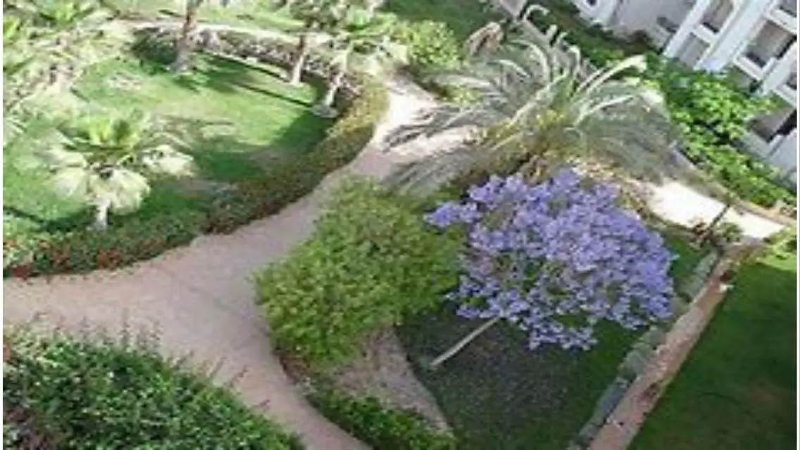 Luxury Villa for Rent with Spacious Area and Unique Amenities