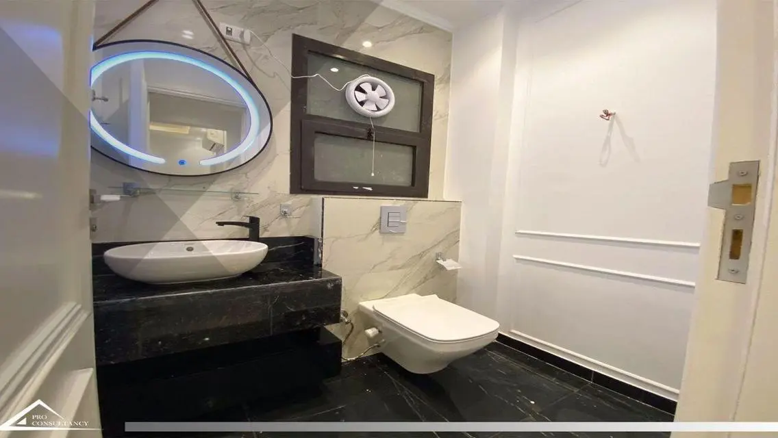 Luxurious Apartment in AUC