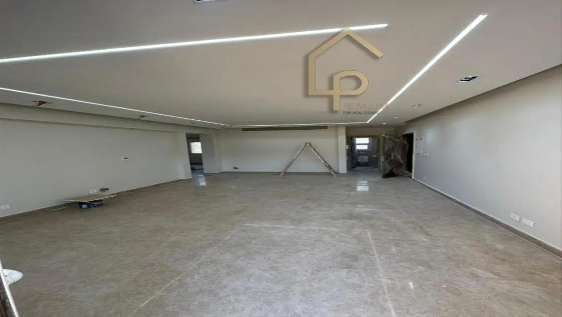 Luxury Apartment in Phase 1