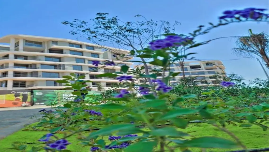 Luxury Villa with Stunning Design for Sale