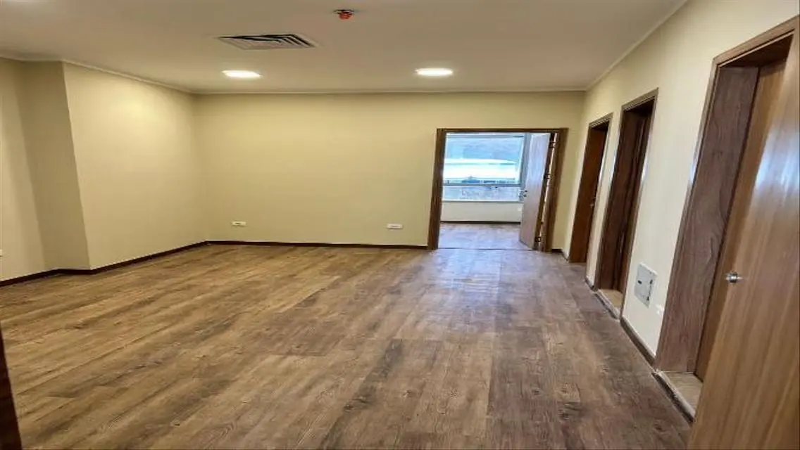 Luxurious Apartment in Downtown