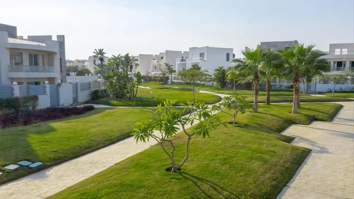 Luxury Apartment in Cleopatra Square