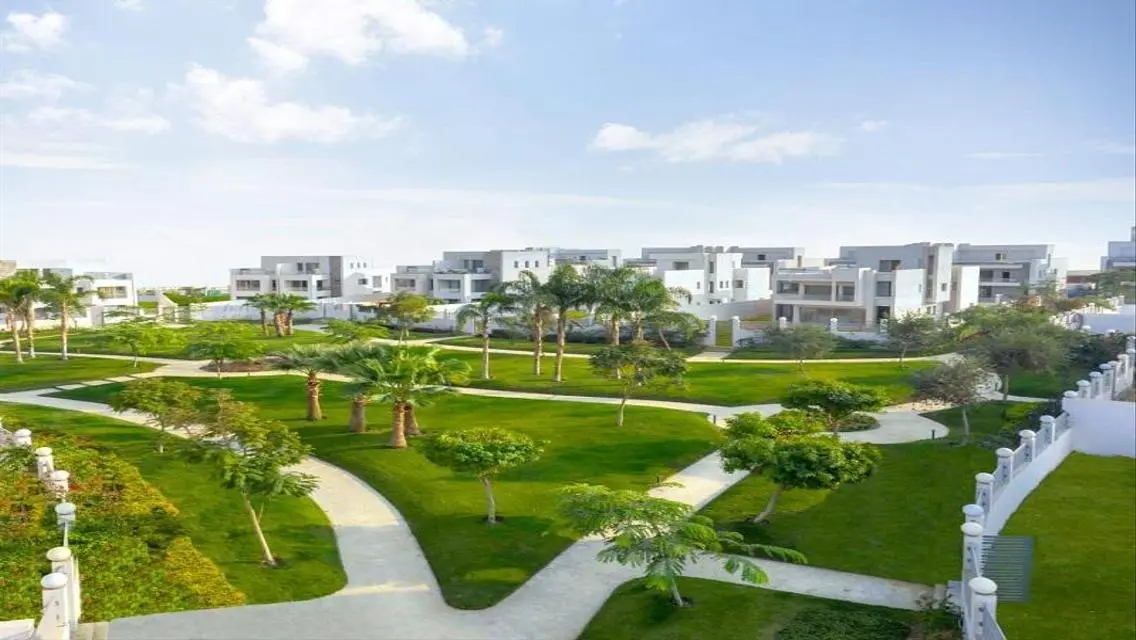 Luxury Apartment in Cleopatra Square