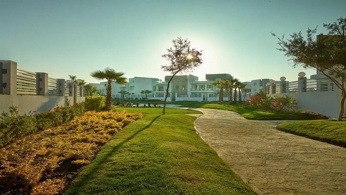 Luxury Apartment in Cleopatra Square