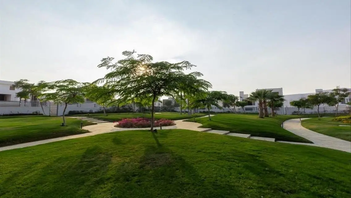 Luxury Apartment in Cleopatra Square