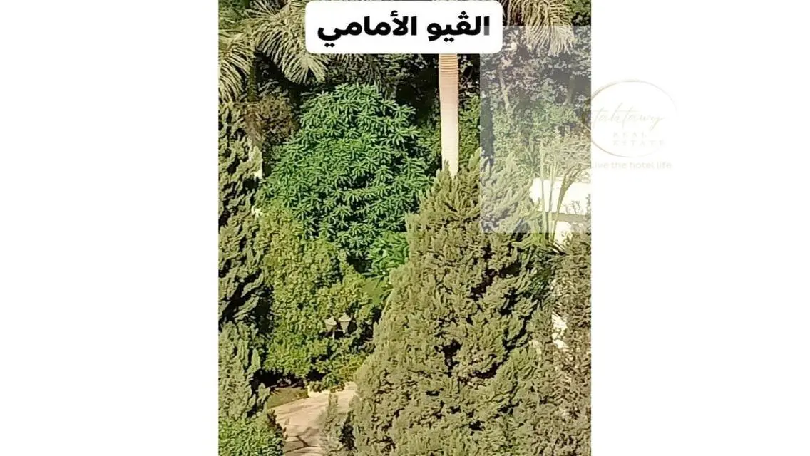 Luxury Apartment for Rent with Spacious Area