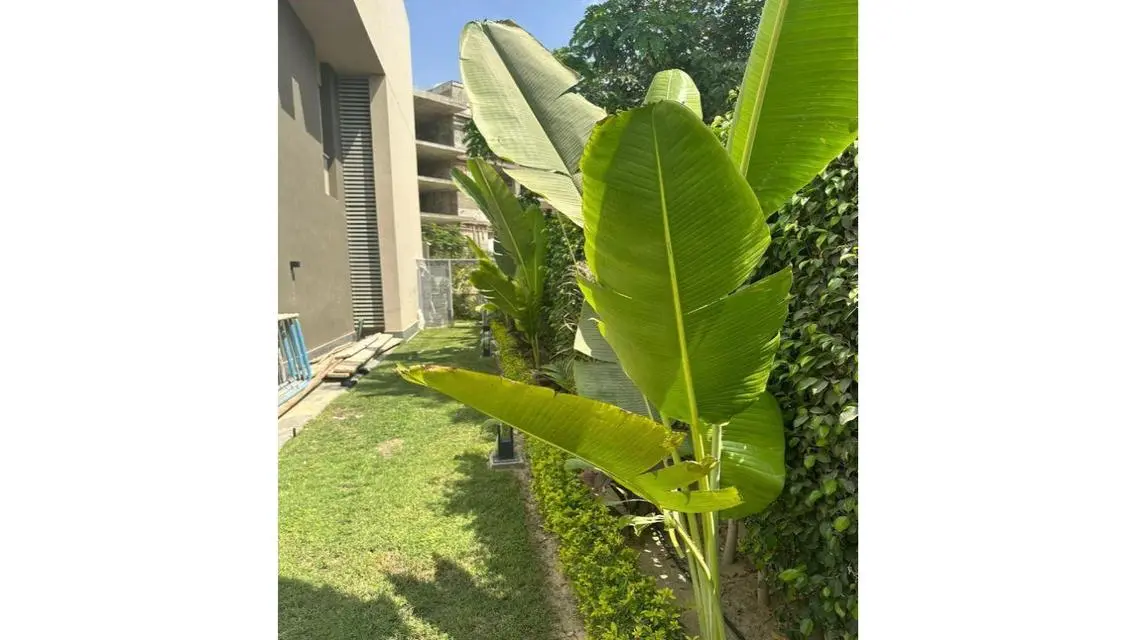 Luxury Apartment in pk2