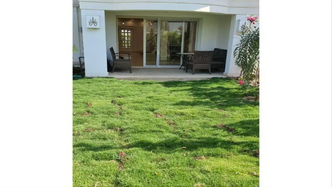 فخامة وسعة في هرم الجيزة