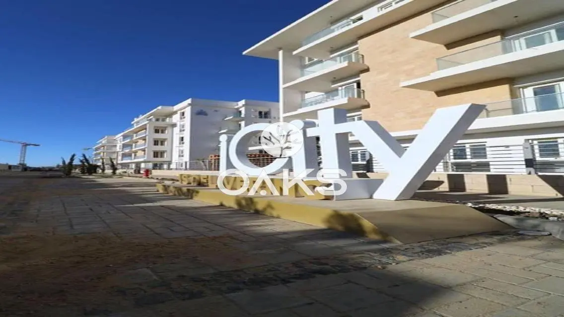 Luxury Apartment in Mountain View October 150