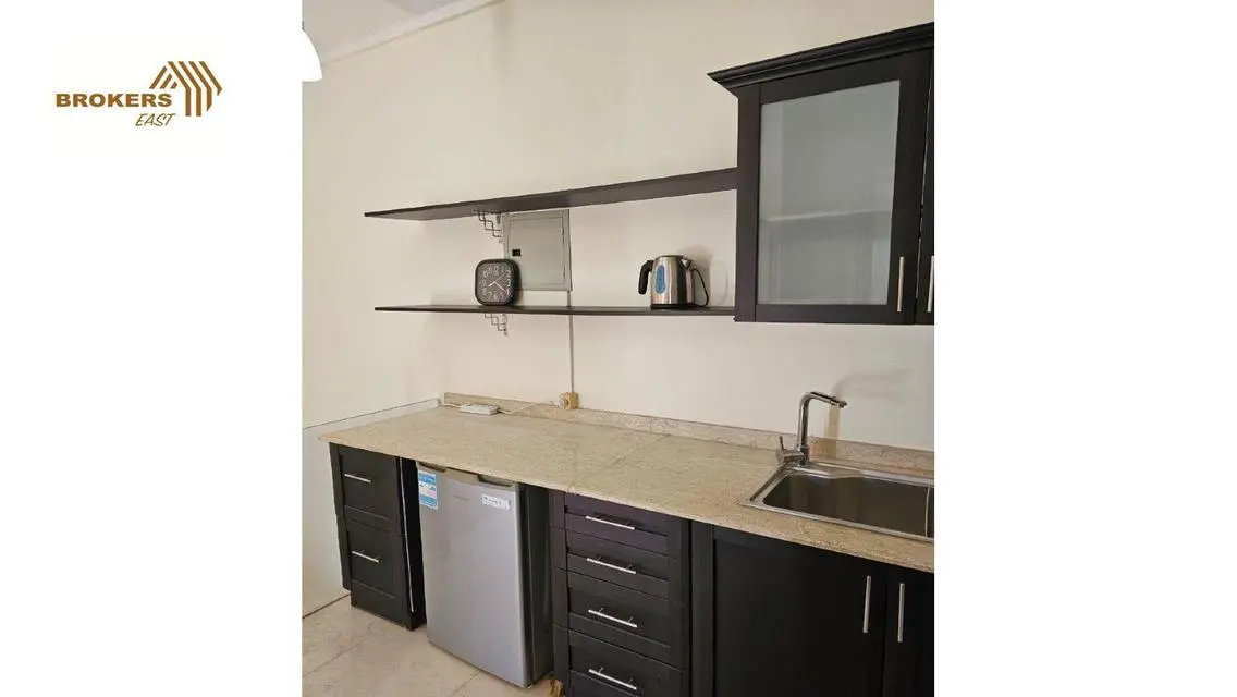 Fully Furnished Penthouse for Rent in The Village Near AUC