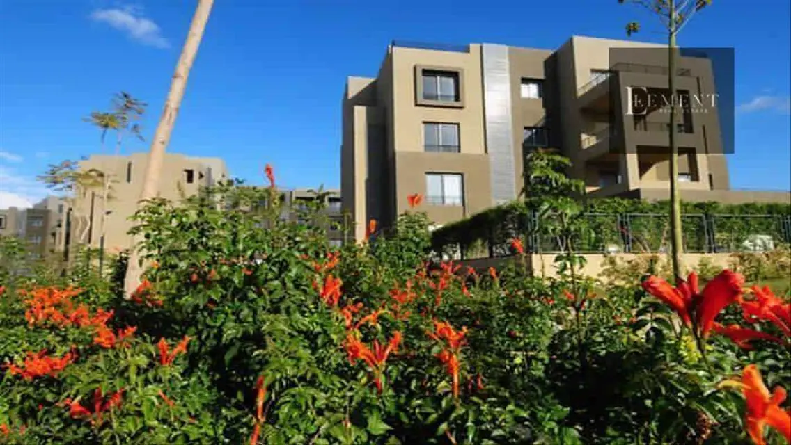 Luxury Apartment in Palm Parks with Premium Amenities