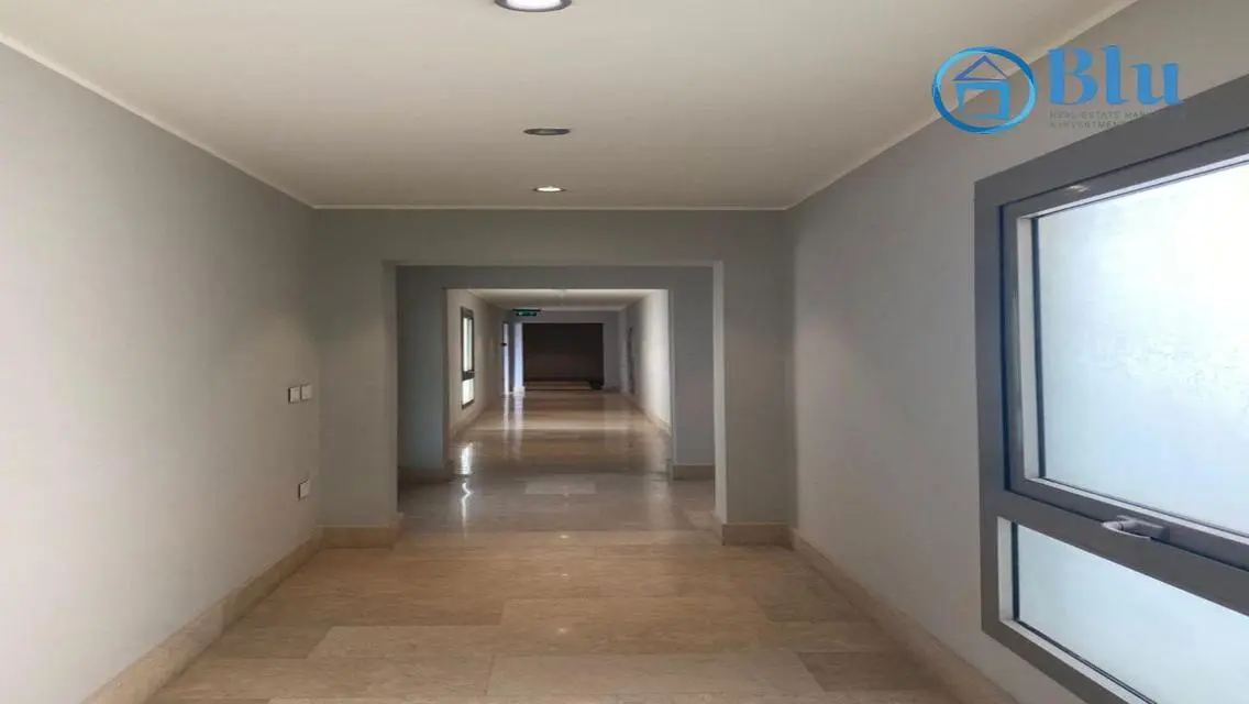 Unique Real Estate Offer at Blu Real Estate
