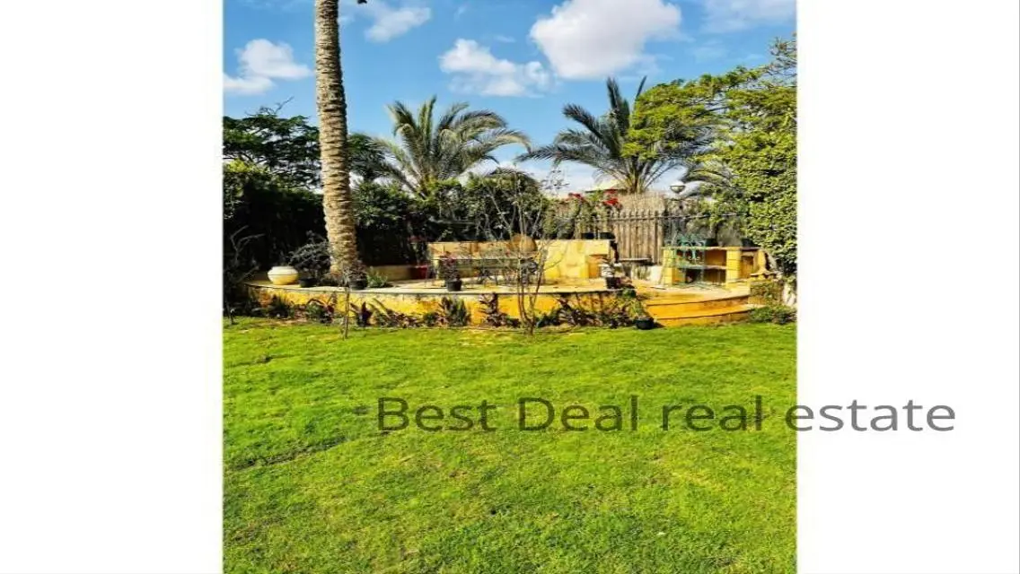 Best Real Estate Deal - Golden Investment Opportunity