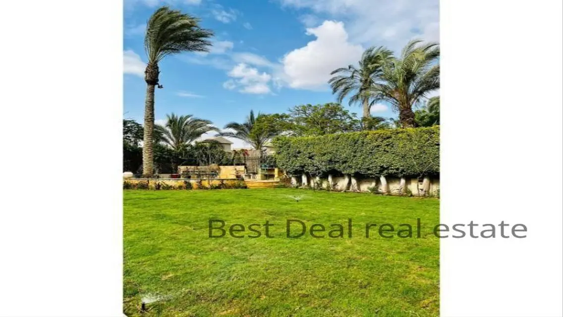 Best Real Estate Deal - Golden Investment Opportunity