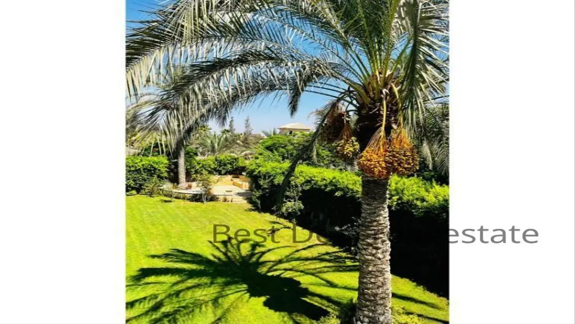 Best Real Estate Deal - Golden Investment Opportunity