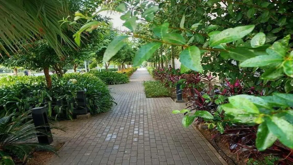 Luxury 3-Bedroom Apartment with Private Pool at Great Price