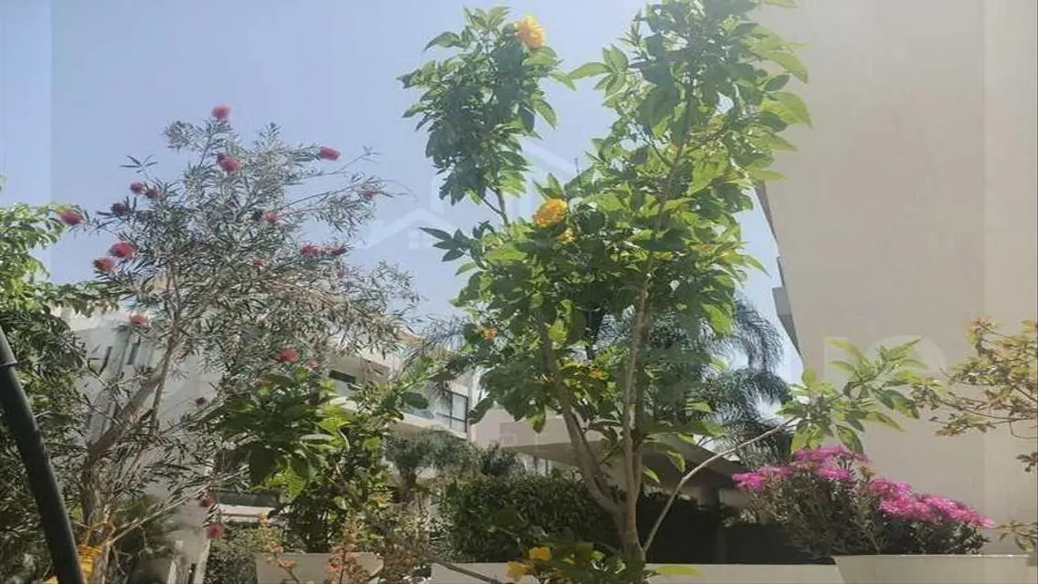Luxury 3-Bedroom Apartment with Private Pool at Great Price