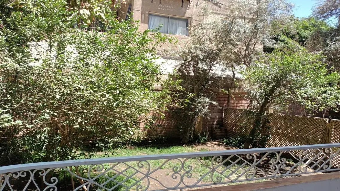محل ترخيص تجاري تشطيب هاي لوكس 350م للايجار او بيع